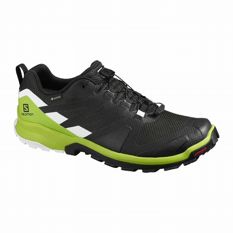 Zapatillas Trail Running Salomon Hombre Rosas - Salomon Argentina XA ROGG GTX ,146092-HCW